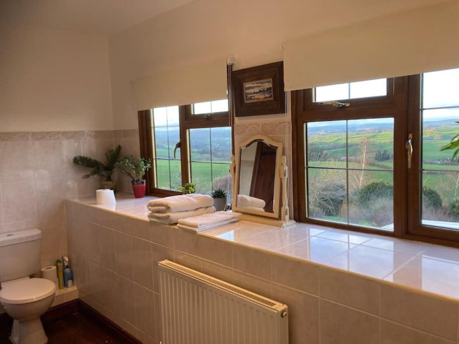 Bryntirion Farmhouse Rooms Llanfair Caereinion Kültér fotó