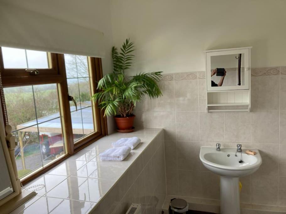 Bryntirion Farmhouse Rooms Llanfair Caereinion Kültér fotó